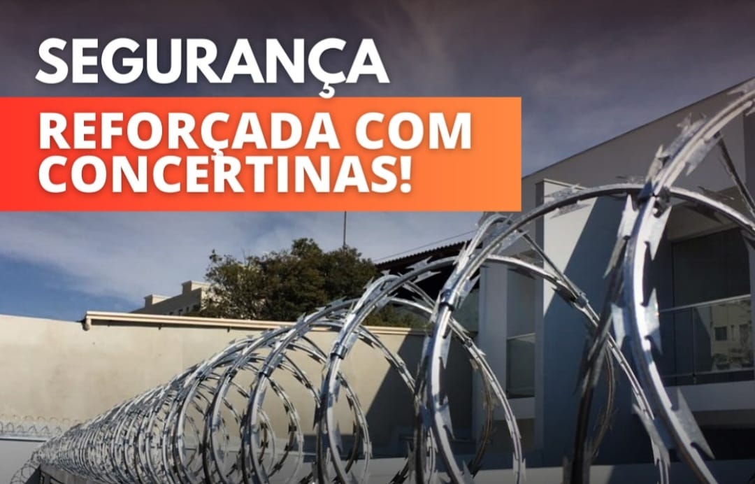 concertinas